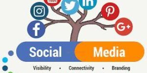 Social Media Marketing Service