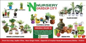 Plant Related Planter