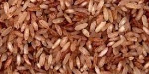 Brown Rice