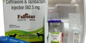Ceftriaxone Tazobactam Injection