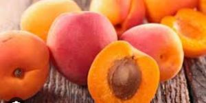 Fresh Apricots