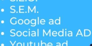 Social Media Advertising Services