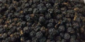 Black Pepper