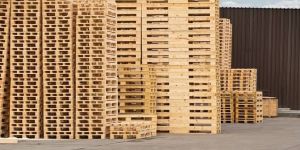Pine Wood and Jungle Wood Pallets
