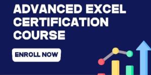 Advanced Excel Certification Course