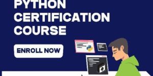 Certificate Course in Python