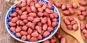 Groundnut