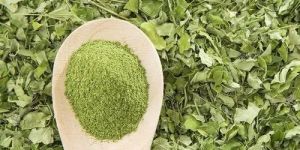 Moringa Dry Leaf Powder