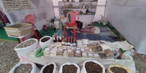 All Ayurvedic Medicine