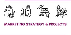 Marketing Strategy Development