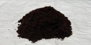 Coir Compost