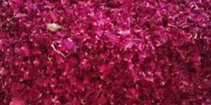 Dry Rose Petals
