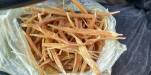 Yellow Shatavari Roots