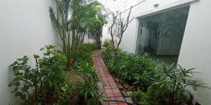 Garden Maintenance Services