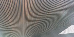 WPC Exterior Cladding