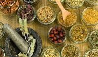 Organic Herbs