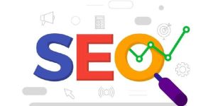 Search Engine Optimization Services