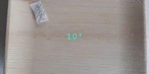 10 Inch Square Areca Plate