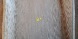 8 Inch Square Areca Plate