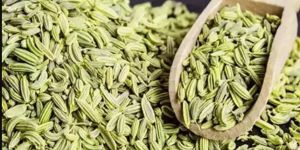 Fennel Seeds