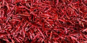 SANNAM S4 DRY RED CHILLI