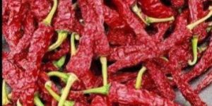 Dried Red Chili