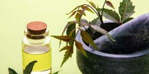 Neem Oil