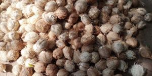 Fully Husked Coconut