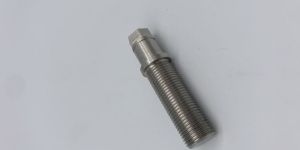 304 Stainless Steel Bolt
