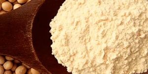 Soy Protein Isolate 90%