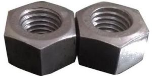 Hex Nut
