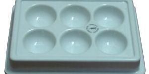Thermoformed Trays