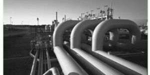 Sodium Bentonite Powder