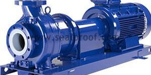 Teflon Lined Pump
