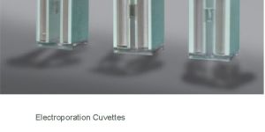 Electroporation Cuvettes