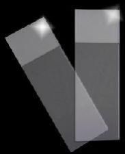 Glass Slides