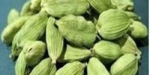 Cardamom