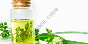 Eucalyptus Oil