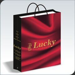 Indian Ethnic Wear Paper Bag