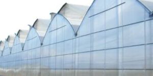 Greenhouse Film