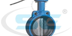 Butterfly Valve