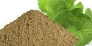 Brahmi Powder