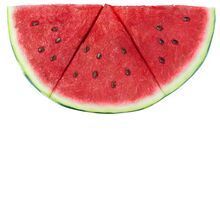Water Melon Seed