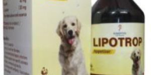 Appetizer And Liver Tonic