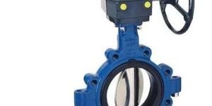Butter Fly Valves