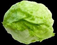 Lettuce