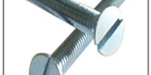 Screw