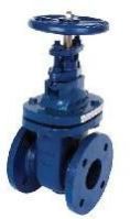 Cast Iron Gate Valve