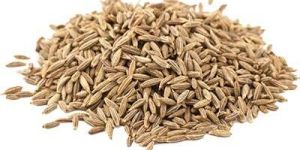 Cumin