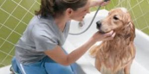 Pet Care Products & Pet Hygiene Products